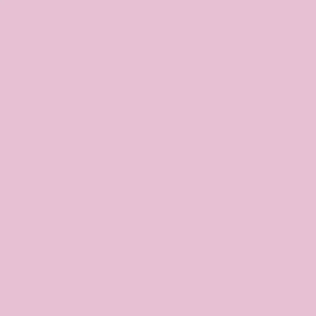 Petal | Beanie