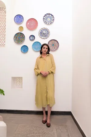 Pistavi Zari Textured Classic Collared Shirt Dress